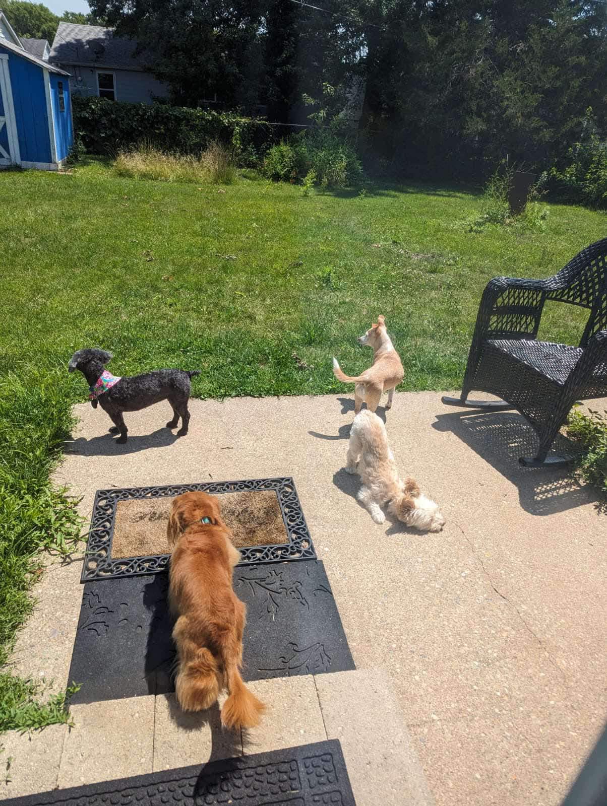 Messenger_creation_FA55B292-F514-4A35-A05D-EC684CF68DE8